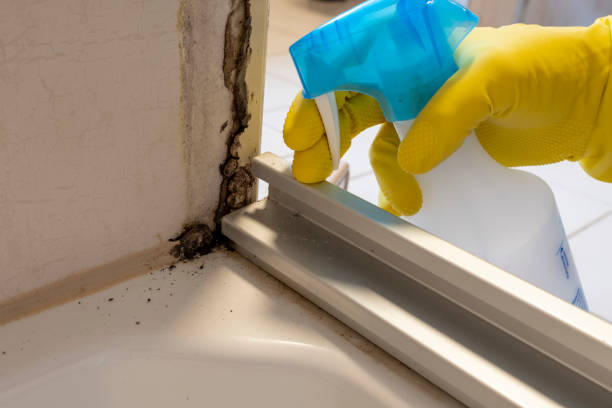 Crawl Space Mold Removal in Lake Andes, SD