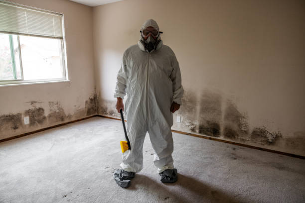 Best Commercial Mold Removal  in Lake Andes, SD